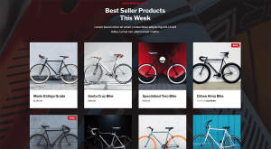 Bike Shop - Image 8