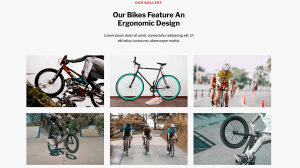Bike Shop - Image 5