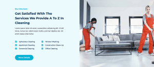 Cleaning Service - Image 2