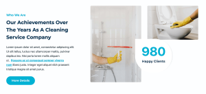 Cleaning Service - Image 7