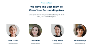 Cleaning Service - Image 5
