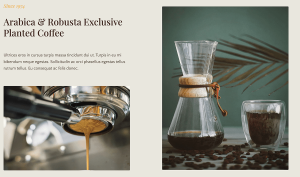 Coffee Roaster - Image 10