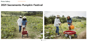 Fall Festival - Image 3
