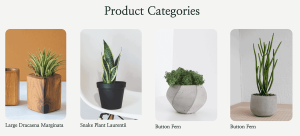 Greenthumb - Image 7