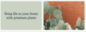 Greenthumb - Image 6