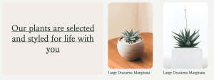 Greenthumb - Image 5