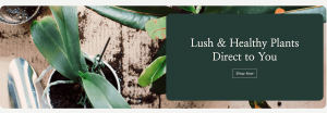Greenthumb - Image 2
