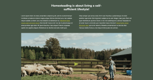 HomeSteading - Image 3