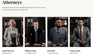 Law Firm - Image 7
