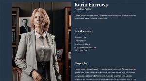 Law Firm - Image 3