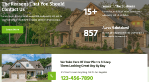 Lawn Care - Image 6
