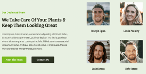 Lawn Care - Image 2