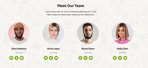 Niche News - Image 6