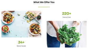 Niche News - Image 5