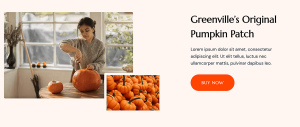 Pumpkin Patch - Image 3