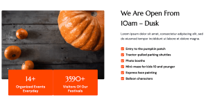 Pumpkin Patch - Image 6