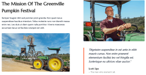 Pumpkin Patch - Image 9