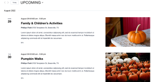 Pumpkin Patch - Image 10