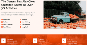 Pumpkin Patch - Image 11