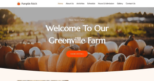 Pumpkin Patch - Image 2