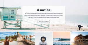 Surf Shop - Image 5